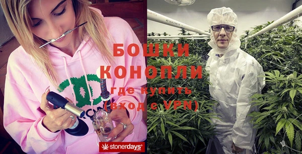 PSILOCYBIN Каменск-Шахтинский