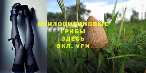 стаф Алексеевка
